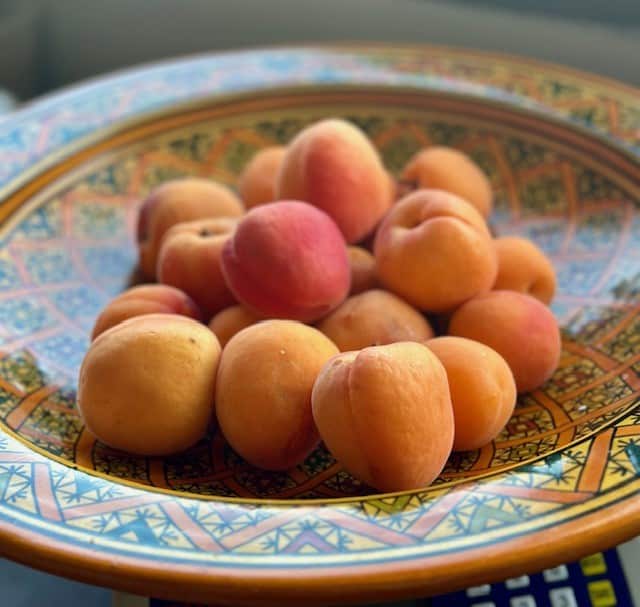 Sorbet apricots 1