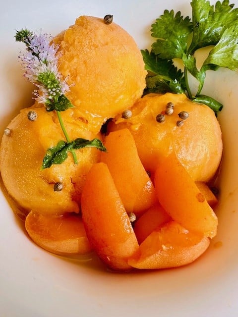 sorbet abricots 8